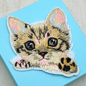 Op de afbeelding: Geborduurde patch met een gedetailleerde kattenkop met grote ogen, een roze neus en een poot. De patch heeft een bruin en beige kleurenschema met zwarte accenten, tegen een lichtblauwe achtergrond.