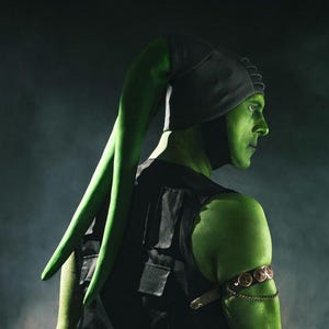 twi&#39;lek lekku tail