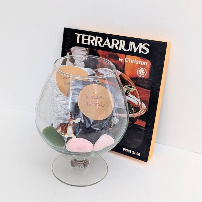 Make Your Own Terrarium