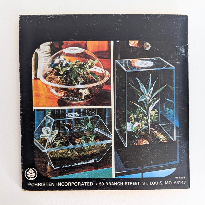 Houseplant Decor