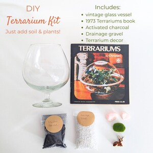 DIY Terrarium Kit