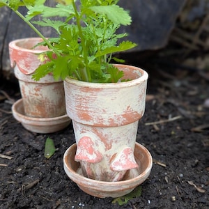 Herb Garden Planter Upcycled Mushroom Plant Pot Terracotta With Saucer