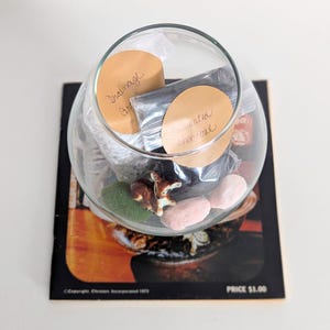 DIY Terrarium Bundle