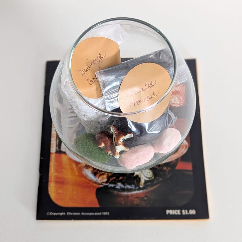 DIY Terrarium Bundle