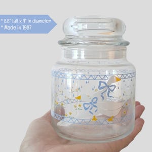 Vintage Goose Decor Kitchen Storage Jar Blue Geese Glass Canister Cottagecore Container Decor Blue & White Anchor Hocking Country Duck