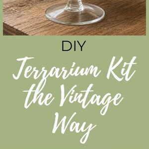 DIY Terrarium Kit the Vintage Way