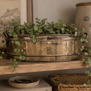 May include: An oval-shaped, weathered brass planter with a fluted design and two side handles. The planter is filled with a trailing Ceropegia woodii plant, featuring small, heart-shaped green leaves with silver variegation cascading over the edges.