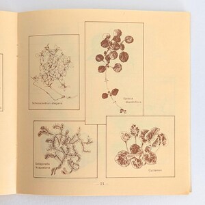 Vintage Plant Book