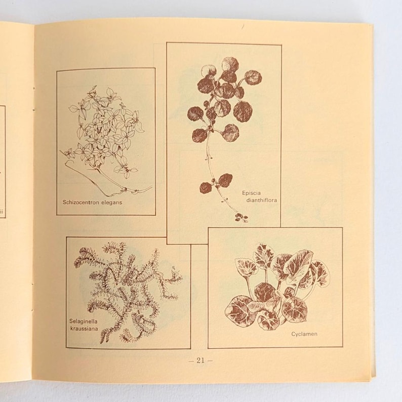 Vintage Plant Book