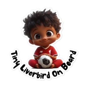 Tiny Liverbird na pokładzie samochodu naklejka-prezent dla fanów Liverpoolu, śliczna naklejka samochodowa, piłka nożna, piłka nożna, wystrój pojazdu