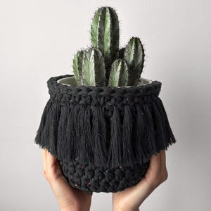 May include: A dark gray, hand-crocheted plant pot with a fringe detail, holding a cactus. The pot has a textured appearance and is filled with a green cactus. The fringe has flecks of color.