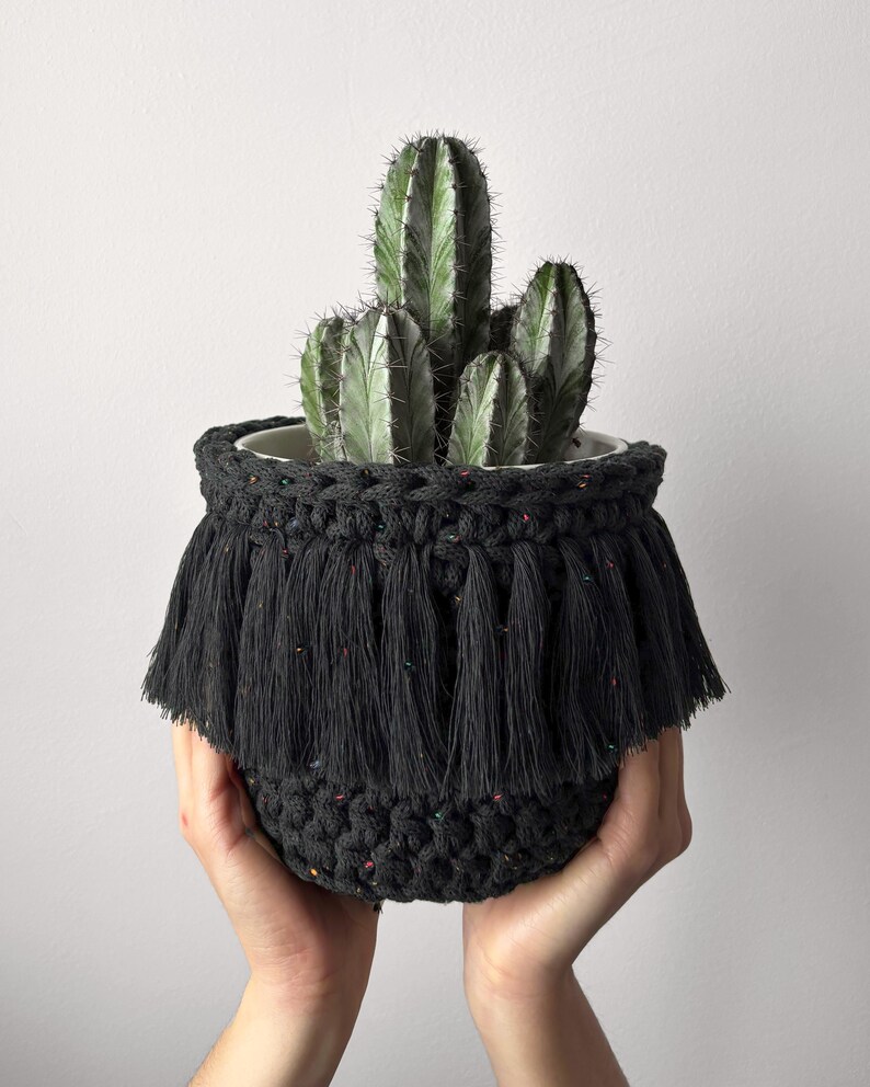 May include: A dark gray, hand-crocheted plant pot with a fringe detail, holding a cactus. The pot has a textured appearance and is filled with a green cactus. The fringe has flecks of color.