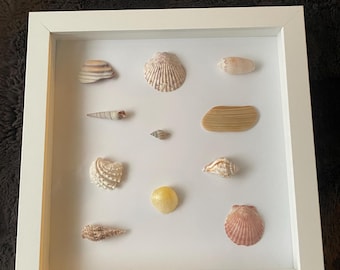 Wall decor, shadow box frames, authentic sea shells, handmade, unique gift