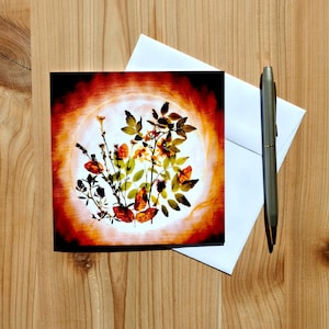 botanique artistique | d'art de fleurs sauvages de l'Okanagan | Carte de voeux fleur unique | Photographie florale créative de nature | Cartes de Susan