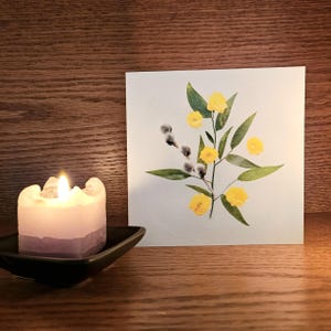 Le frisson de la veuve de Zazzle.be Liste d'envies Vous avez des idées ? Saule commun, sensations fortes et verdure de la veuve | Photographie botanique de l'Okanagan | Cartes de Susan