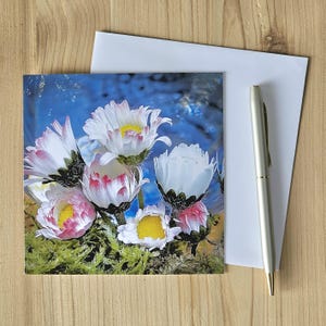 de voeux de fleurs sauvages | Charmantes petites marguerites de pelouse et mousse au parc provincial Sasquatch | Photographie de la nature de l'Okanagan | Cartes de Susan