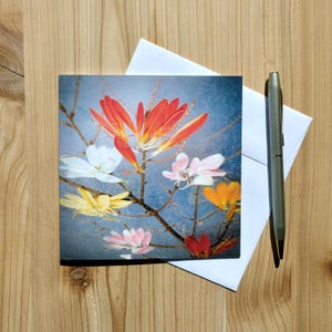 arbre de fleurs de Zazzle.be Liste d'envies Vous avez des idées ? Pétales de zinnia et pruche occidentale | Carte de voeux florale | Photographie botanique de la nature de l'Okanagan | Cartes de Susan
