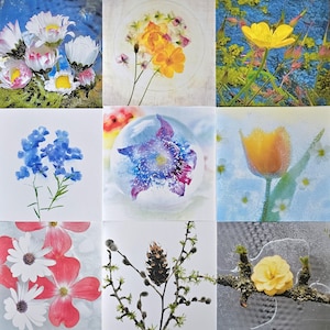 Mélangez et assortissez les cartes florales de printemps | Fleurs fraîches et surgelées | Cartes vierges pour toutes les occasions | Photographie de fleurs sauvages de l'Okanagan | Cartes de Susan