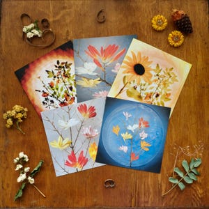 Cartes de photographie botanique | Feuilles de zinnia, tournesol, pruche occidentale et rosier sauvage | Lot de 5 cartes Fleurs sauvages de l'Okanagan | Cartes de Susan
