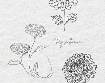 Chrysanthemum flower for November tattoo stencil/drawing.