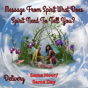 Puede incluir: Una ilustración digital de dos hadas en un entorno de bosque de ensueño. Las hadas están sentadas en una roca y rodeadas de flores y hongos. El texto "Message From Spirit What Does Spirit Need To Tell You?" está en la parte superior de la imagen. El texto "Delivery Same Hour/Same Day" está en la parte inferior de la imagen.