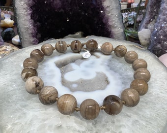 Petrified wood round gemstones #4