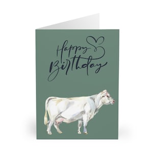 Charolais Cow Birthday Cards. 5 Pack. Birthday Cards. Greeting Cards. Cows. Gifts for Farmers. Farming Gifts. Birthday Cards for Farmers.
