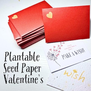 Cartões de papel semente para o Dia dos Namorados – Dia dos Namorados com cultivo de flores silvestres ecologicamente correto – Presentes exclusivos para a classe infantil – Papel mágico plantável