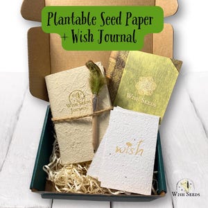 Carta dei semi dei desideri + diario vuoto; carta dei semi di fiori selvatici piantabili; set regalo magico per manifestare i sogni; regali ecologici per bambini