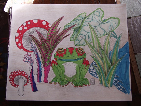 Items similar to Original Drawing Frog Mushrooms Pond and Plants OOAK