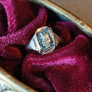Vintage 1977 Herff Jones 10K Gelbgold-Frauenring mit Falke & blauem Stein, Mittelhoch, Größe 7 und 4,1 gm