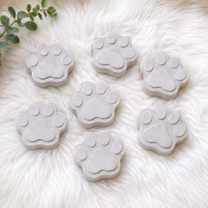 DIY Paw Print Plaster Kit | Paint Your Own Pet Paw | Dog Lover Craft | Kids Activity | Pet Memorial Gift | Unfinished Craft Blanks
