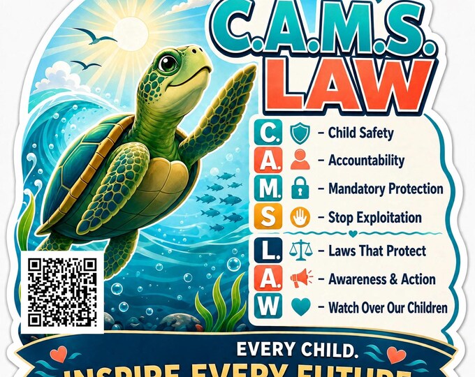 Cams Law Turtle Car Sticker | Protect Every Child Decal | Kids Safety Advocacy Awareness Sticker