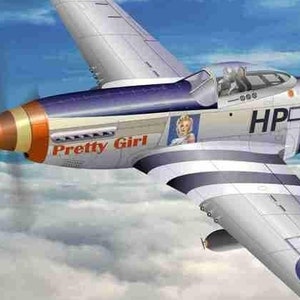 P 51D Mustang