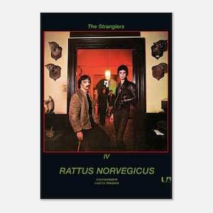 The Stranglers 1977 Promotional Poster, Reprint Rattus Norvegicus, Vintage Punk Rock Music Poster