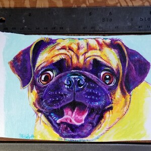 Pug up for anything!