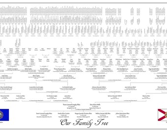 12 Generation Fan Chart