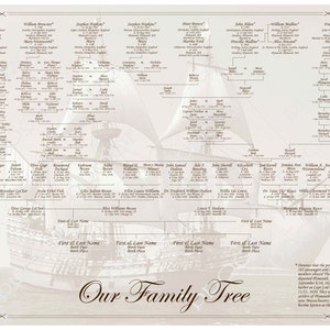 Custom Family Tree - Mayflower Pedigree Chart