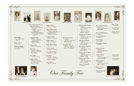 family tree pedigree chart etsy family tree pedigree chart