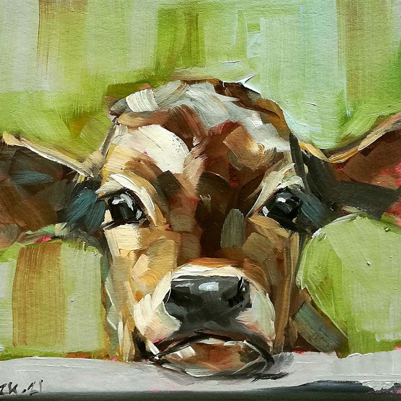 Calf Painting - Etsy