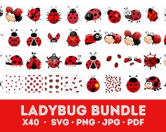 Ladybug SVG Bundle | Layered Ladybug Clipart (40 Files)