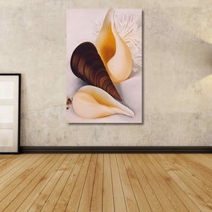 Pode incluir: Uma impressão de arte de parede retangular vertical apresentando uma natureza-morta de três conchas. A composição inclui uma concha espiral castanho-escura posicionada entre duas conchas lisas de cor creme sobre um fundo branco.