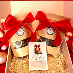 Holiday Stovetop Potpourri Kit | Home Fragrance
