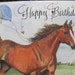 Palloncino XXL in pellicola con cavallo, in piedi, per compleanno, ragazza, ragazzo, regalo per bambini, decorazione per equitazione, fattoria, crema, Isabelle, circa 70 cm