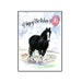 see more listings in the Horse Greeting Cards section