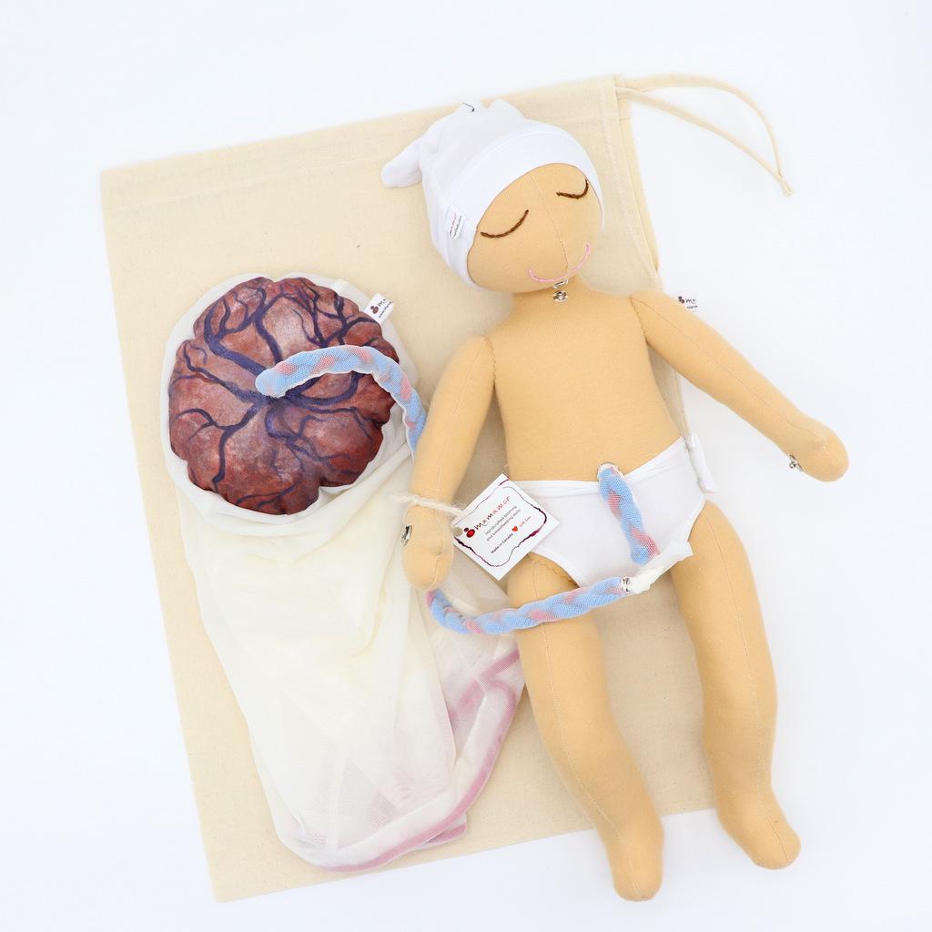 布製骨盤模型セット：赤ちゃん人形、胎盤、出産教育 - Etsy 日本