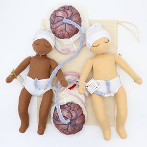 Newborn Baby Doll Placenta Model Set for Childbirth Education Tools for Doulas Midwives Childbirth Educators image 7