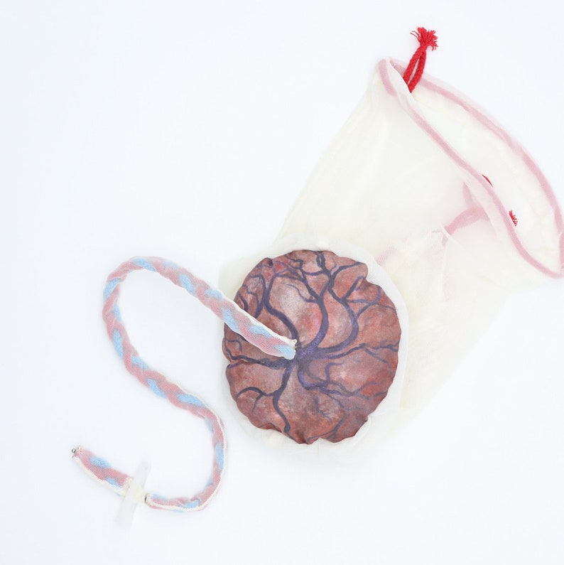 Placenta/Cord/Amnion/Chorion Model for Childbirth Education Tools for Doulas Midwives Childbirth Educators image 3