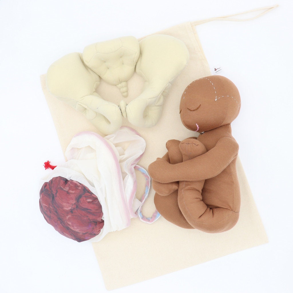 Bassin en tissu Poupée nouveau-né Ensemble de modèles de placenta pour l' éducation à l'accouchement Outils pour Doulas Sages-femmes Éducateurs à l'accouchement  -  Canada