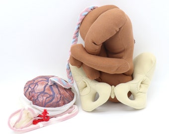 Cloth Pelvis - Newborn Baby Doll - Placenta Model Set for Childbirth Education - Tools for Doulas - Midwives - Childbirth Educators